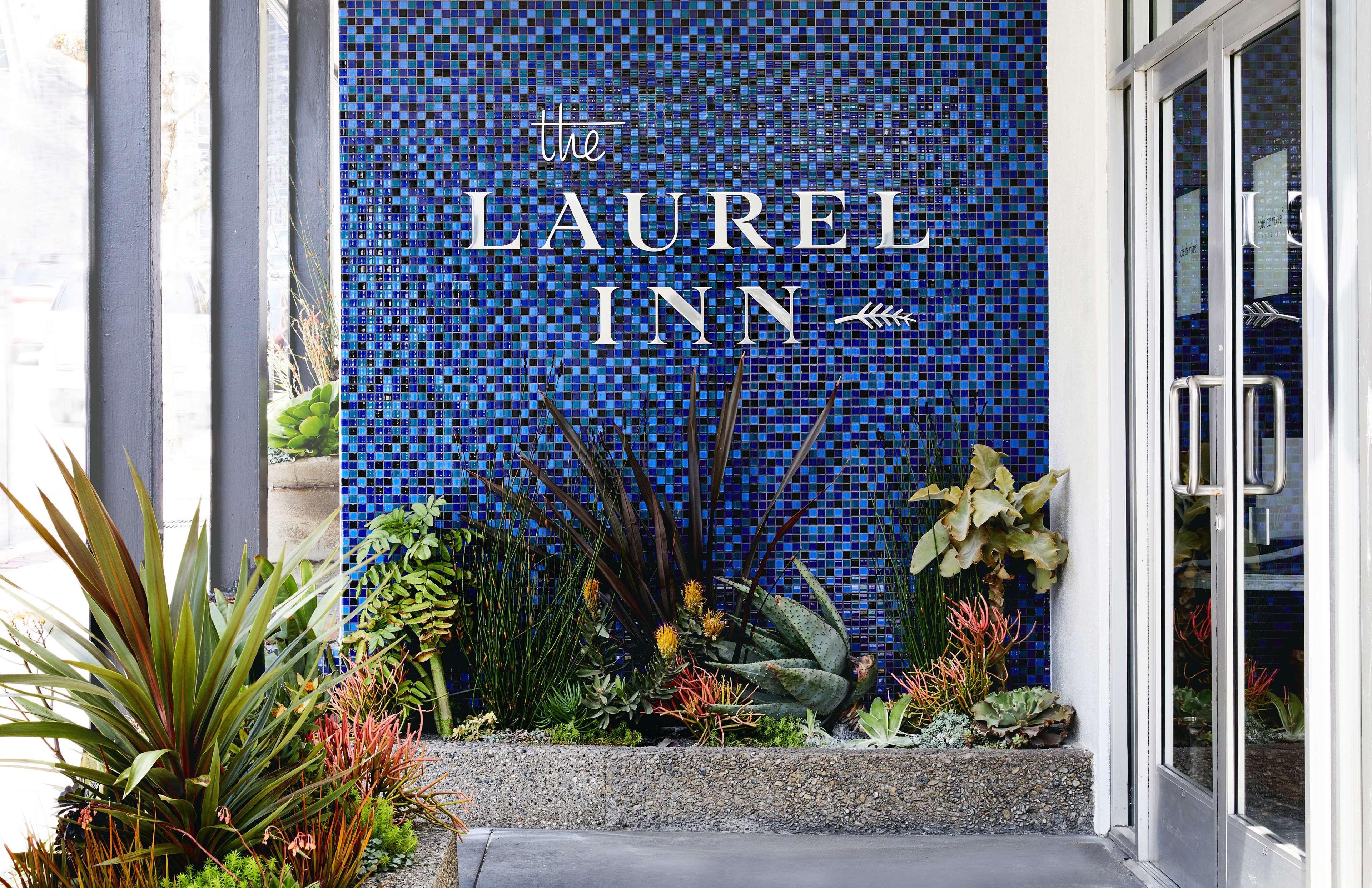 סן פרנסיסקו The Laurel Inn, Part Of Jdv By Hyatt מראה חיצוני תמונה